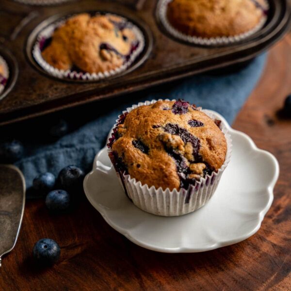 Blue Berry Muffin